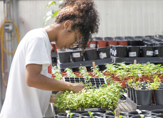 student inspects plants
