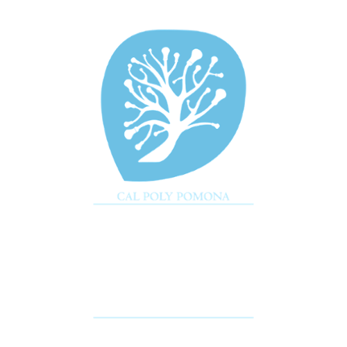 Student Innovation Idea Lab Logo