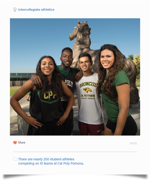 Intercollegiate Athletics - There are nearly 250 student-athletes competing on 10 teams at Cal Poly Pomona.