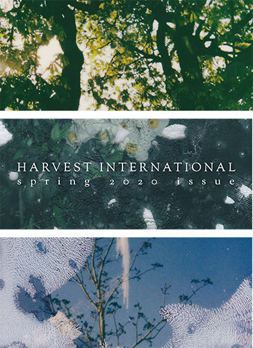 Cover of the spring 2020 issue of Harvest International: 3 rectangular images of nature, rich in greens and blues