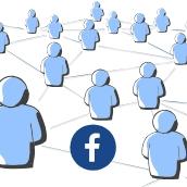 Stay Connected with The Collins College Facebook Group
