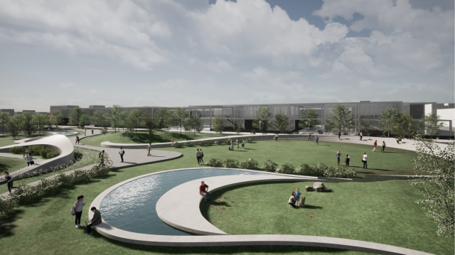 luisa salazar project