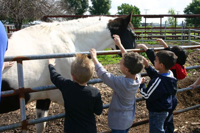 Children petting a horse