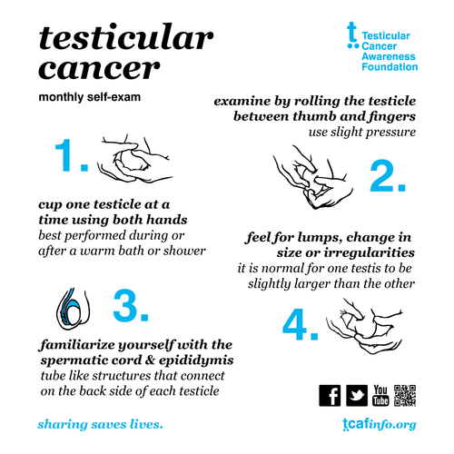 how to screen yourself for testicular cancer