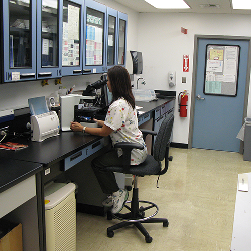 Inside lab at Student Health and Wellness Services