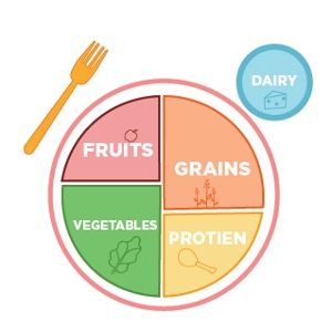 healthy plate icon