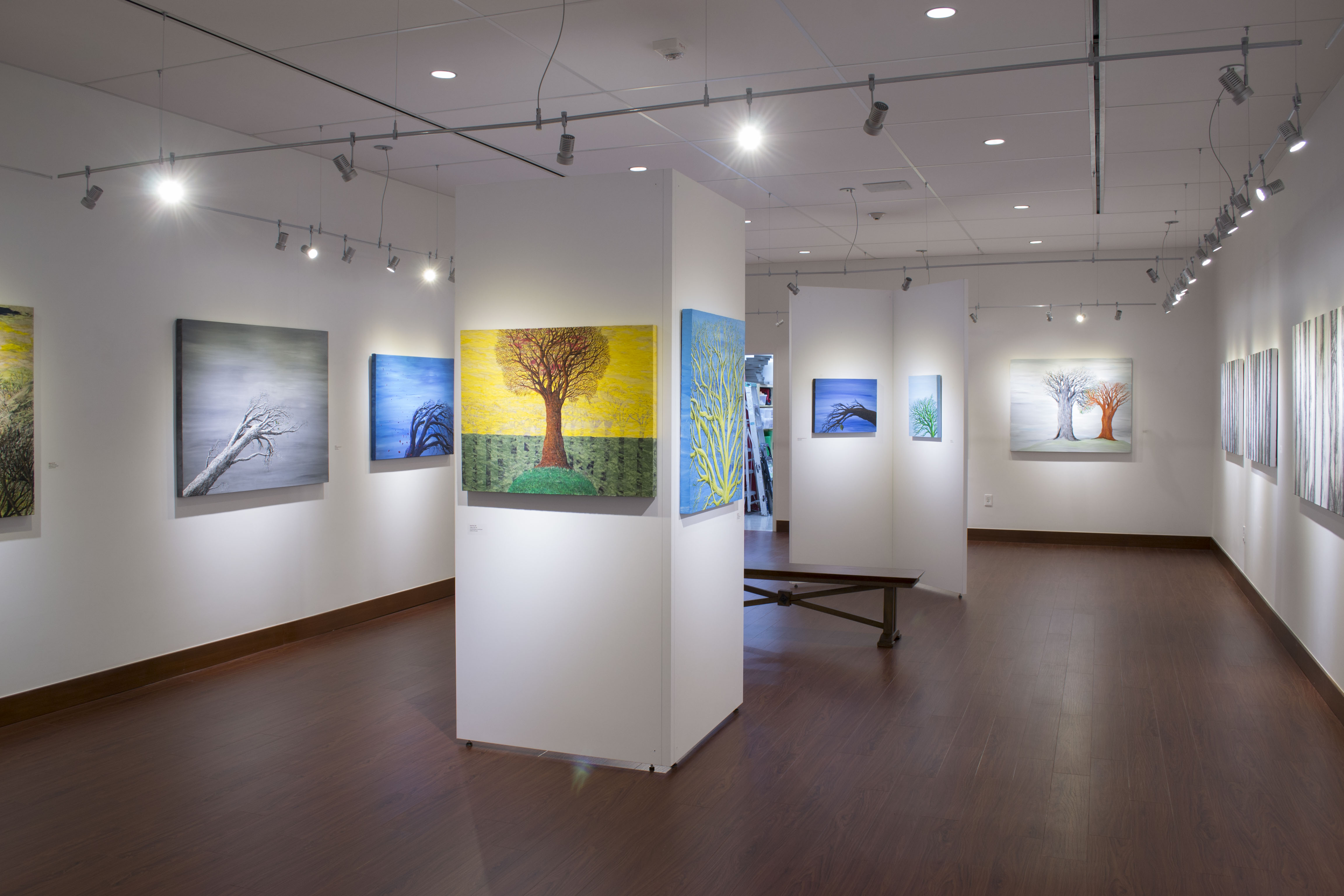 Installation View, Front of Gallery, Roxene Rockwell In The Forests and Trees, 2015.