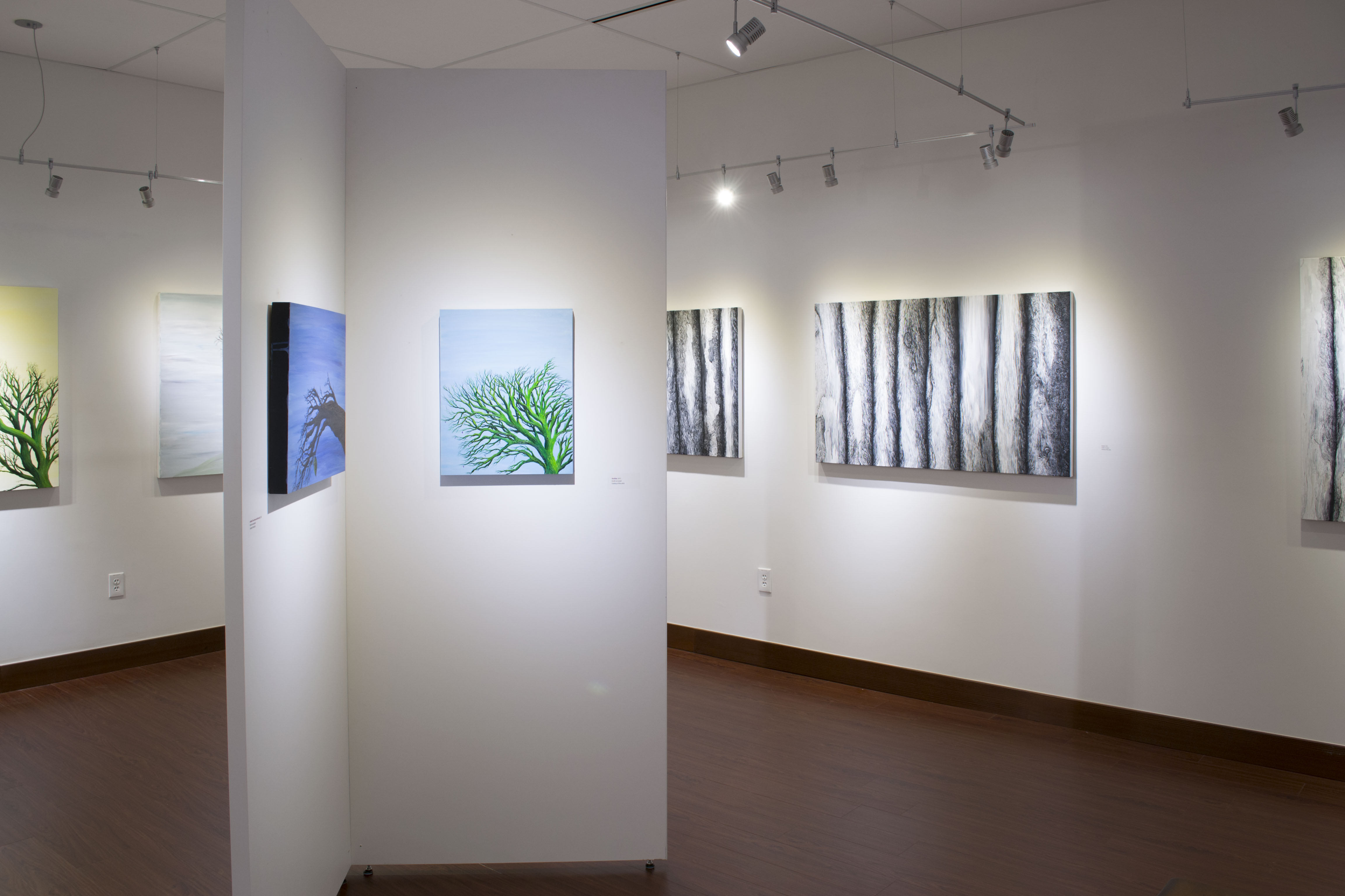 Installation View, Back of Gallery, Roxene Rockwell In The Forests and Trees, 2015.