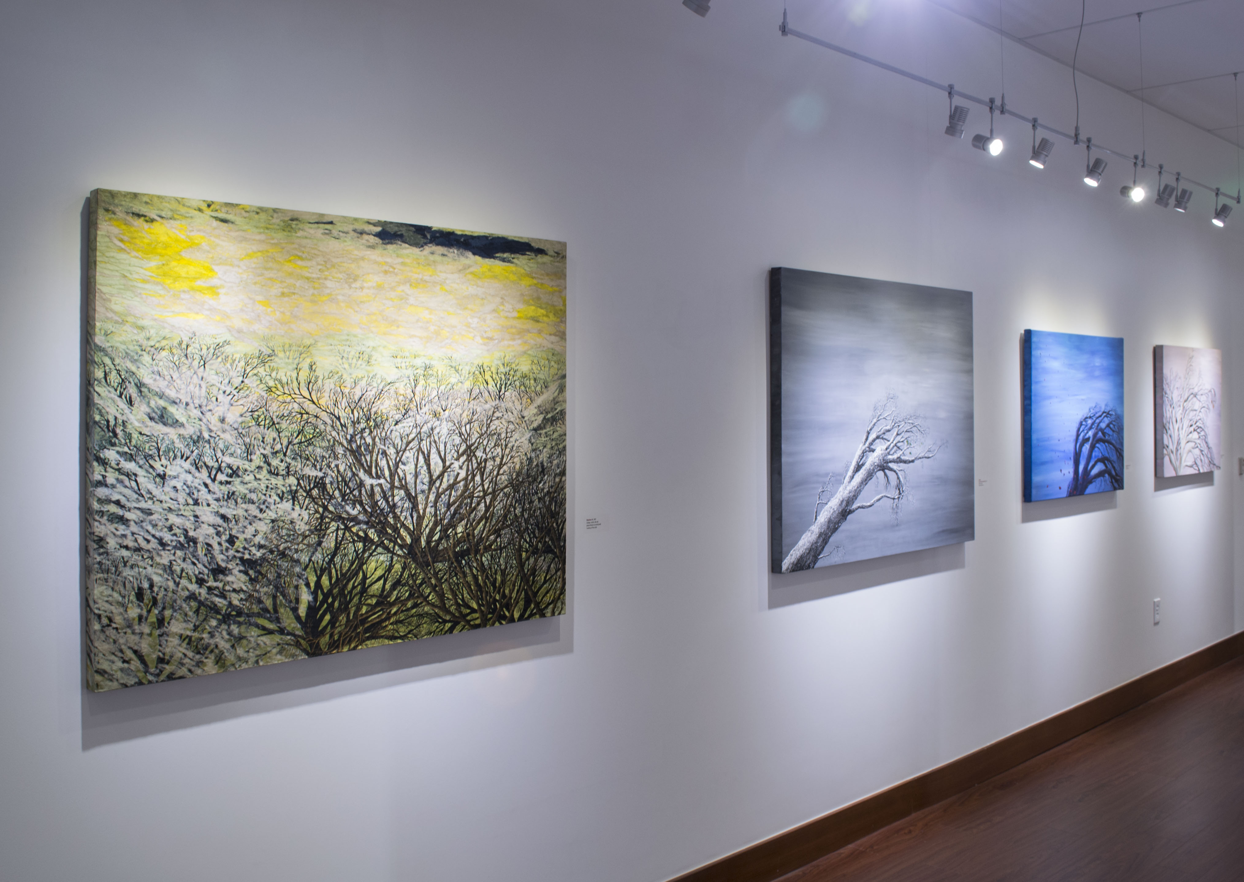 Installation View, Front of Gallery, Roxene Rockwell In The Forests and Trees, 2015.