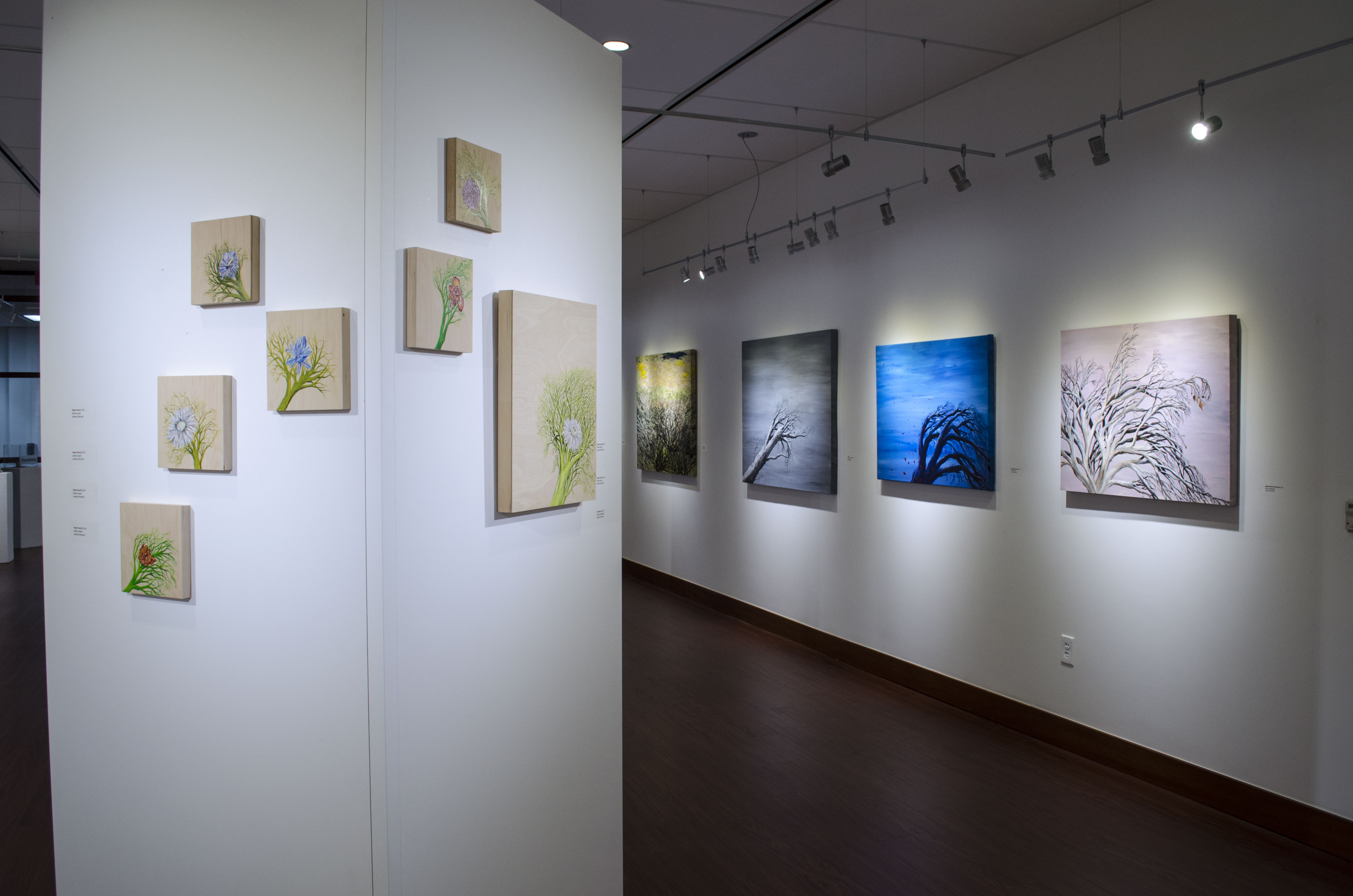 Installation View, Back of Gallery, Roxene Rockwell In The Forests and Trees, 2015.