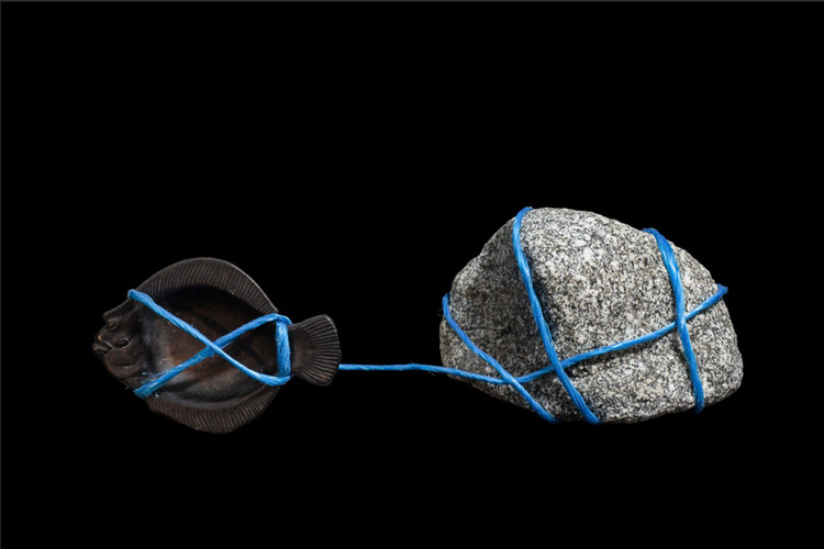 Metal fish tied to a rock