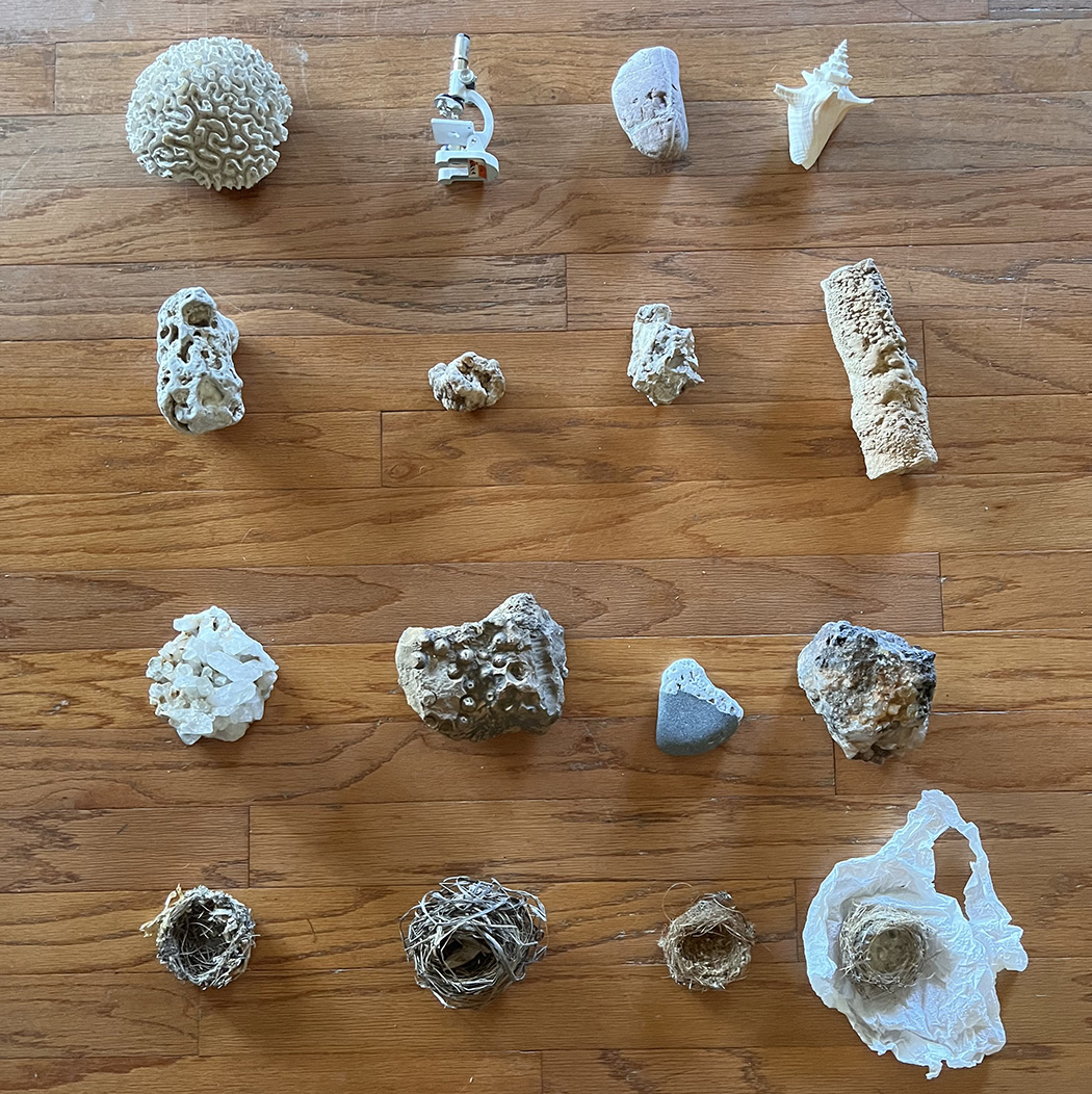 from the (What You Carry) Series (Internal Spaces), 2022 Found Objects: Brain coral (chub cay, Bahamas), child's microscope, granite (Ventura beach), conch, (Bahamas) Geode, granite geode, geode, stalactites (Missouri rivers) Crystal (Missouri), fossil (Missouri rivers). granite (Ventura beach), granite (Missouri rivers) 4x nest (Diamond Bar, CA)