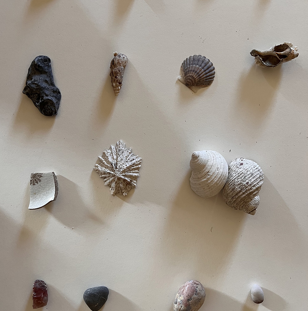 from the (What You Carry) Series (Internal Spaces), 2022 Found Objects: My first ever trilobite! (Ut), Fish bone (NC), rock (Denmark), Pyrite (Co) Shells (Va, Thailand, Denmark, Denmark) Pottery (Co), Limpet (Thailand), Shells (Ca, Denmark) Quartize (Oregon), Rock (Washington), Rock (Denmark), Rock (Germany)