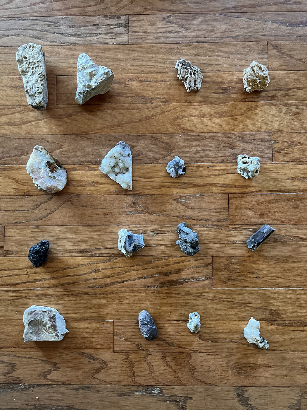 from the (What You Carry) Series (Internal Spaces), 2022 Found Objects: 4x coral (Seychelles) Granite (Germany), granite (Germany), crystal (Missouri rivers), tile (Germany river) 3x Oyster (VA, FL, NC), fan coral (NC) coral (Seychelles), shell (Denmark), quartzite (Missouri), coral (Seychelles)