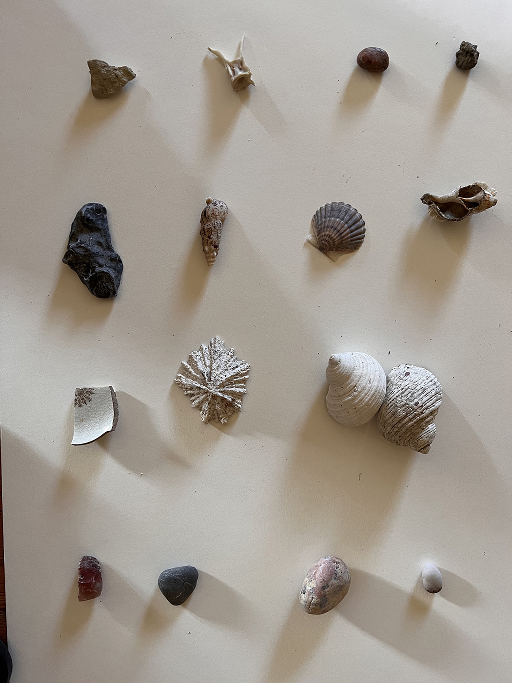  from the (What You Carry) Series (Internal Spaces), 2022 Found Objects: My first ever trilobite! (Ut), Fish bone (NC), rock (Denmark), Pyrite (Co) Shells (Va, Thailand, Denmark, Denmark) Pottery (Co), Limpet (Thailand), Shells (Ca, Denmark) Quartize (Oregon), Rock (Washington), Rock (Denmark), Rock (Germany)