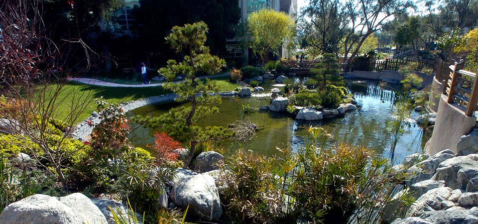 The George and Sakaye Aratani Japanese Garden