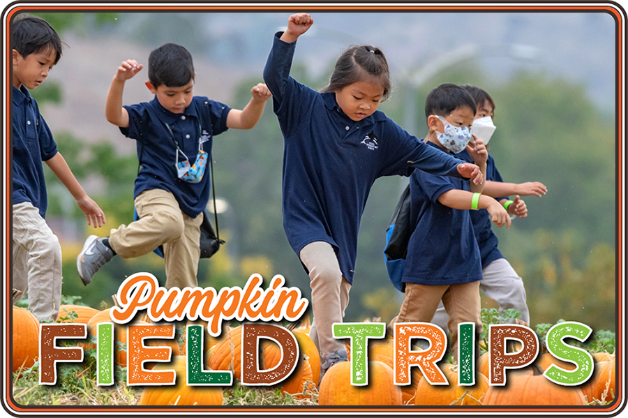 Pumpkin Patch Field Trip with kids on the field