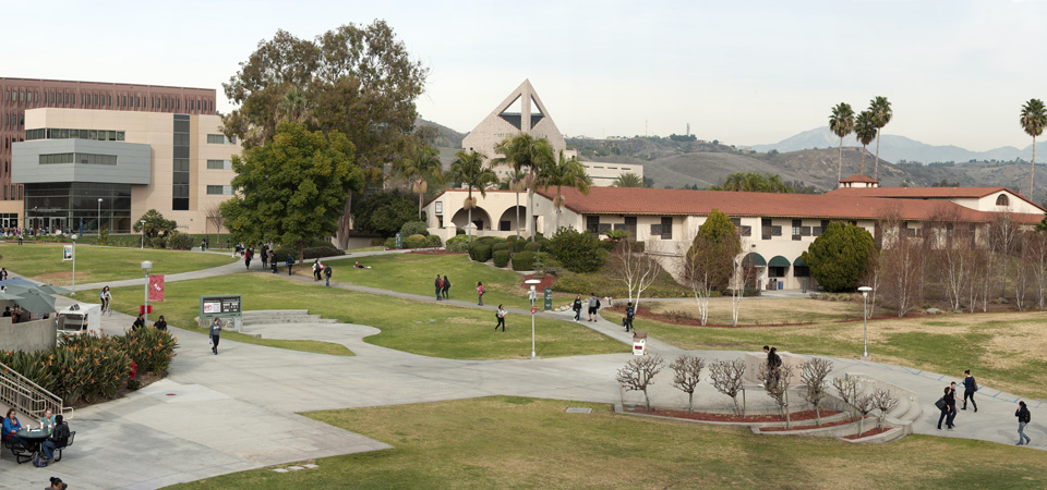 View overlooking Union Plaza and Library