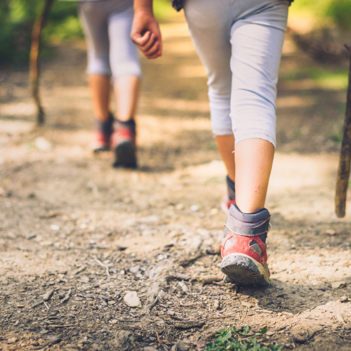 health and wellness - two hikers walking a trail