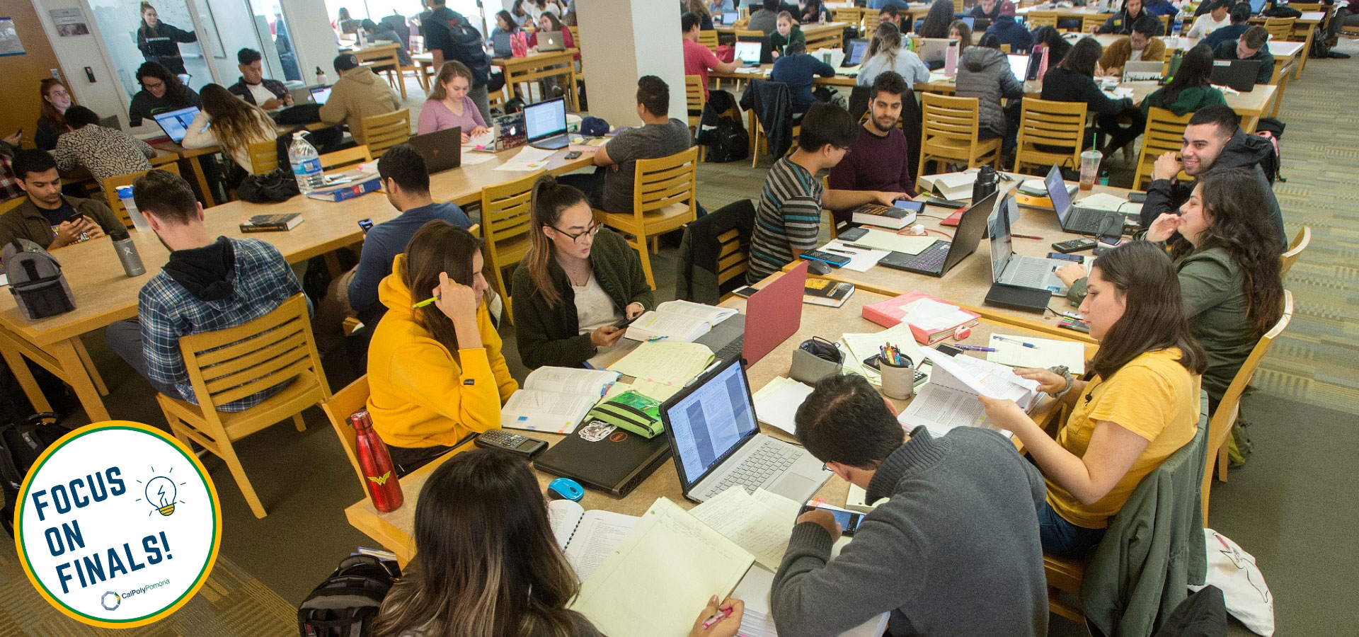 Students studying in the university library