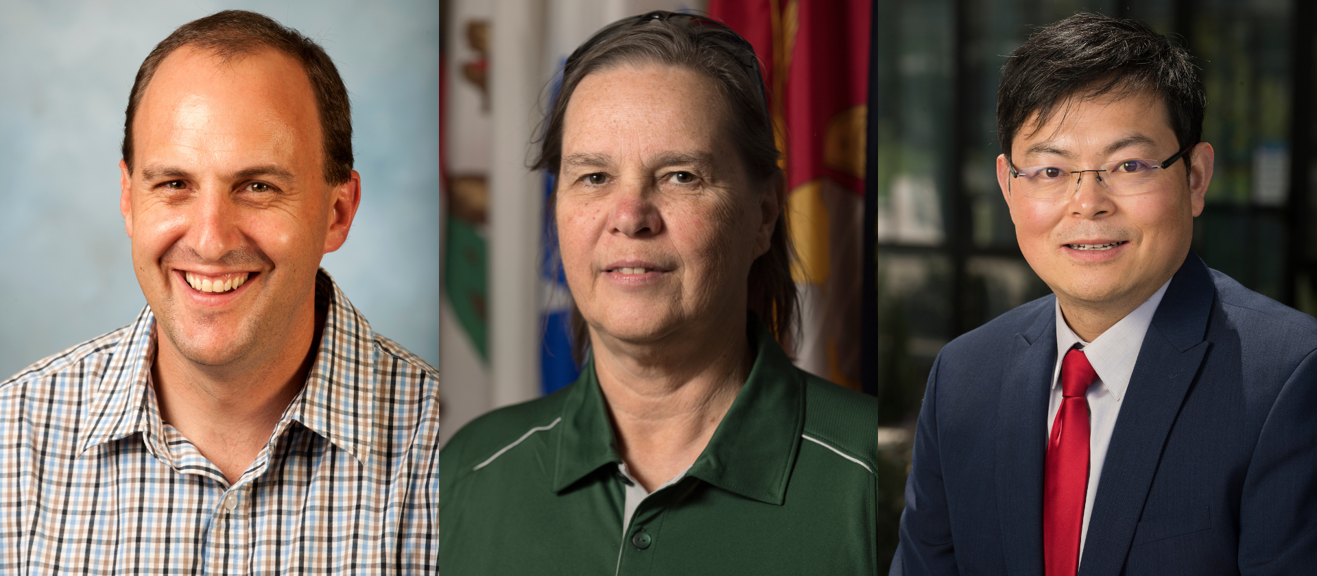 Paul Bearsley, Phyllis R. Nelson and Wen Cheng